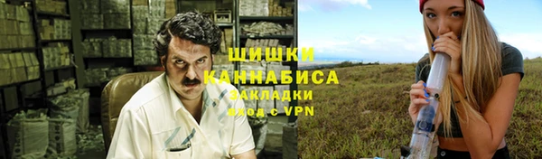 ГАЛЛЮЦИНОГЕННЫЕ ГРИБЫ Касимов