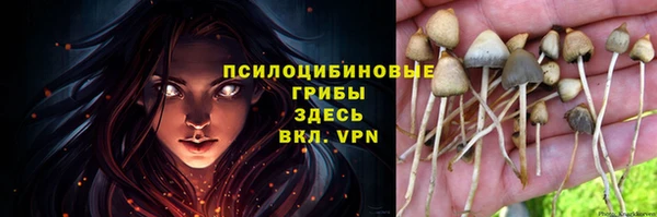 дживик Карталы