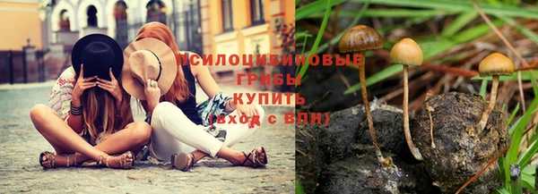 дживик Карталы