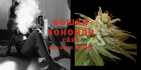 ГАЛЛЮЦИНОГЕННЫЕ ГРИБЫ Касимов
