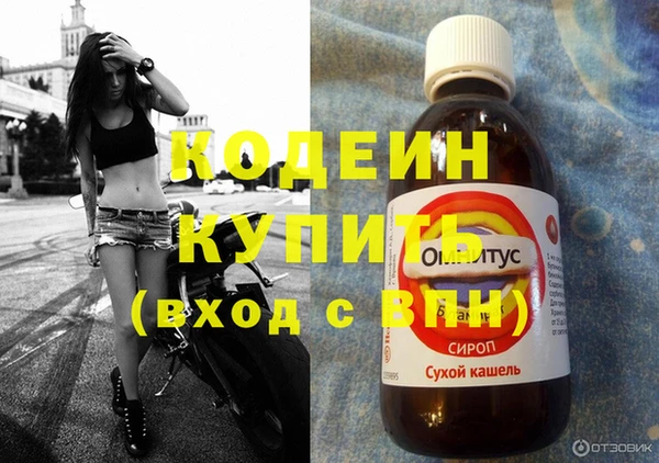 ГАЛЛЮЦИНОГЕННЫЕ ГРИБЫ Касимов