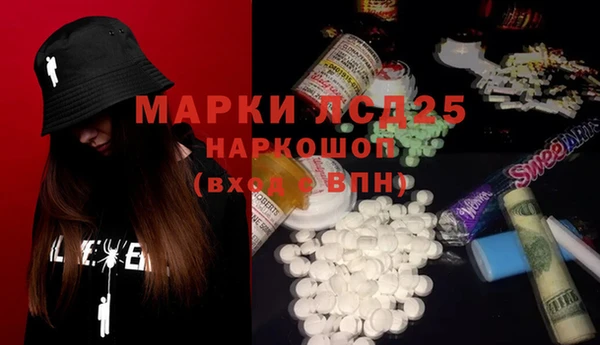 ГАЛЛЮЦИНОГЕННЫЕ ГРИБЫ Касимов