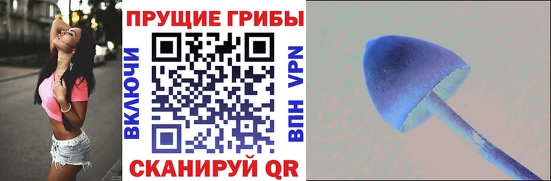 Купить где  Саяногорск  Псилоцибиновые грибы прущие грибы 